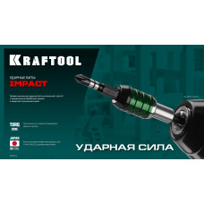 Бита PZ2*50мм, магнитная, тип хвостовика E 1/4″, сталь S3, ударная, Крафтул, Kraftool Impact Pro 26193-2-50-S10 Бита PZ2*50мм, магнитная, тип хвостовика E 1/4″, сталь S3, ударная, Крафтул, Kraftool Impact Pro 26193-2-50-S10